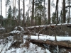 IMG-20200106-WA0010