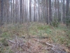 PB070683